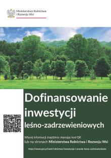 Dofinansowanie inwestycji leśno-zadrzewieniowych